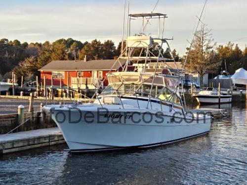 Topaz 84 ficha técnica y opiniones